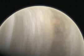 Есть ли жизнь на Венере? Ответ может дать новое открытие