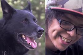 Пёс два дня защищал раненого подростка от койотов