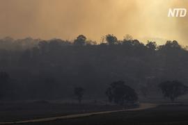 Лесные пожары в Боливии уничтожили более миллиона гектаров территории