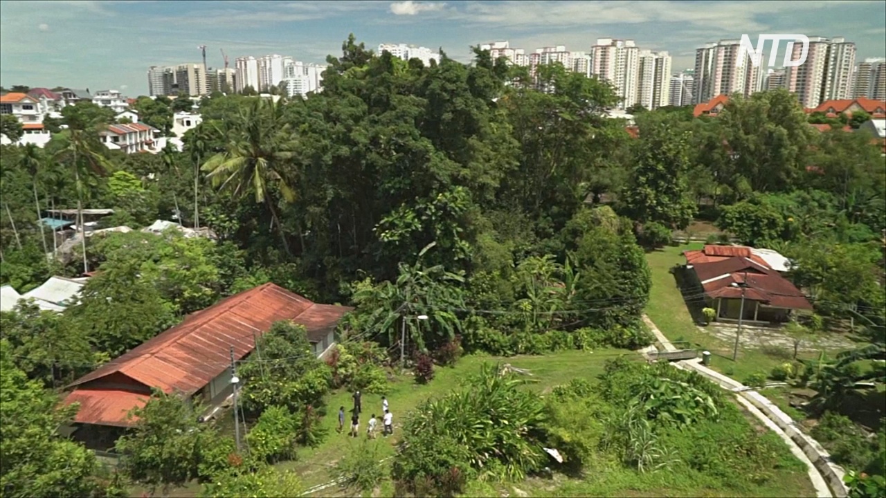 Последняя деревня Сингапура стала популярной у местных туристов