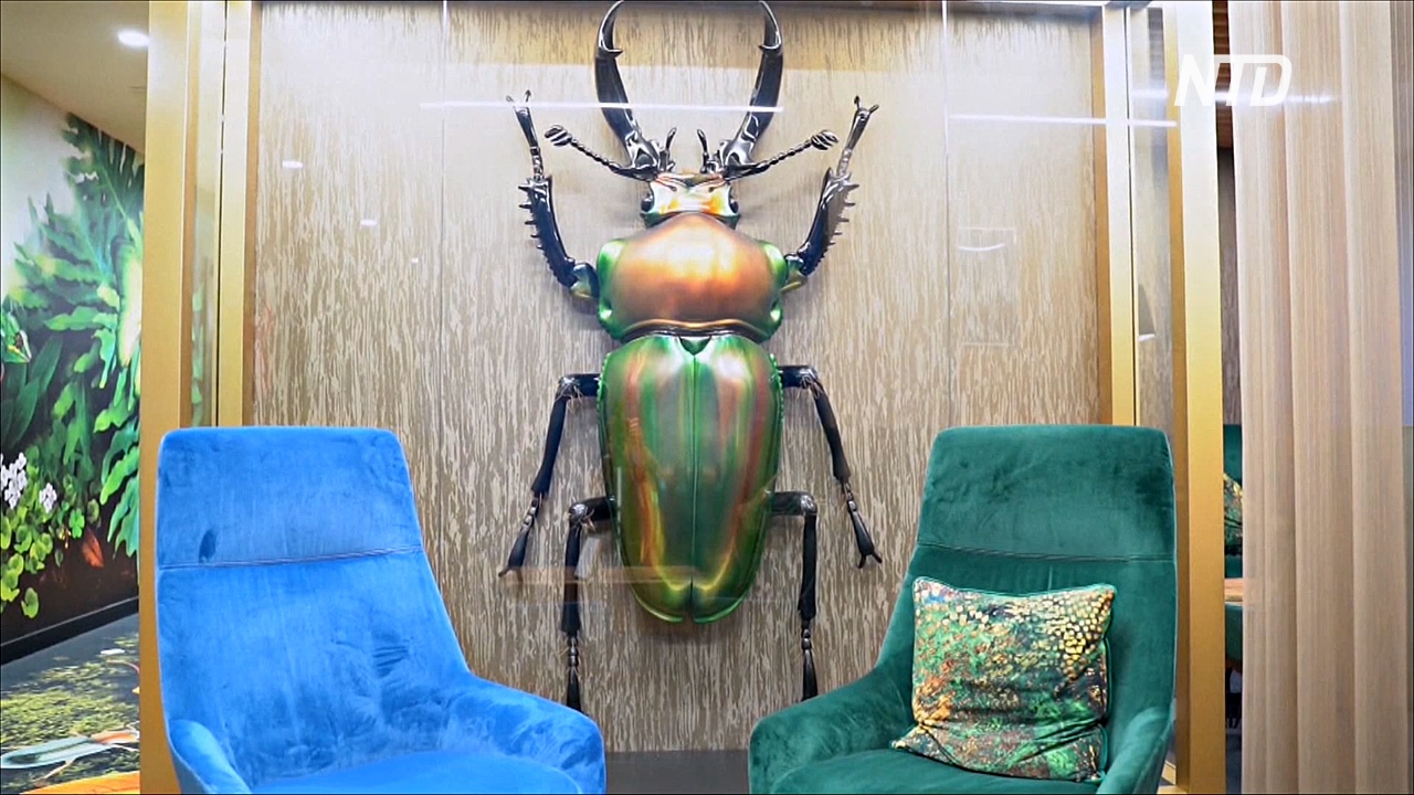 Воздушные шары и гигантские жуки: как людей завлекают обратно в офисы