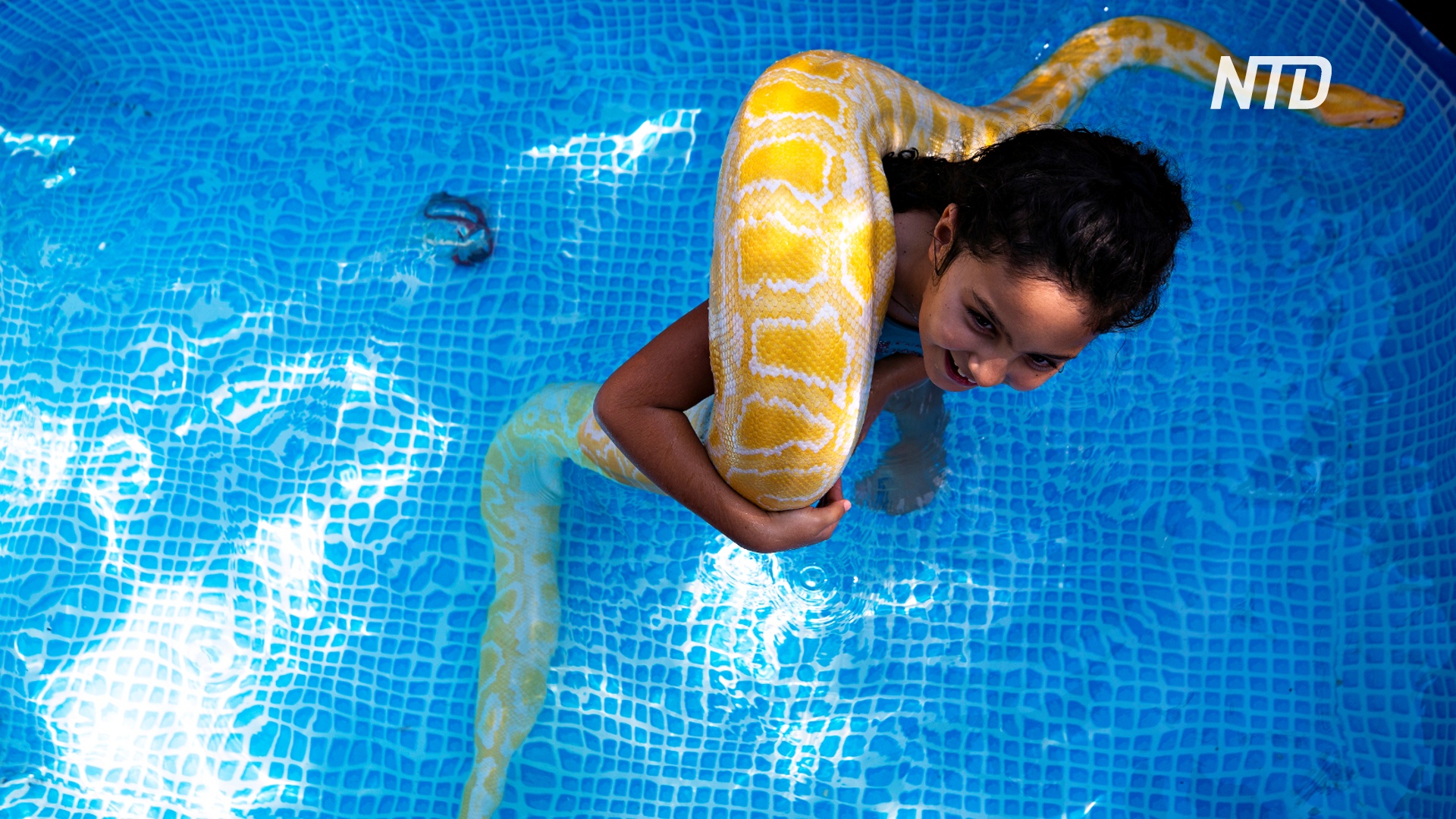 Лучшие друзья: 8-летняя девочка плавает с питоном в бассейне