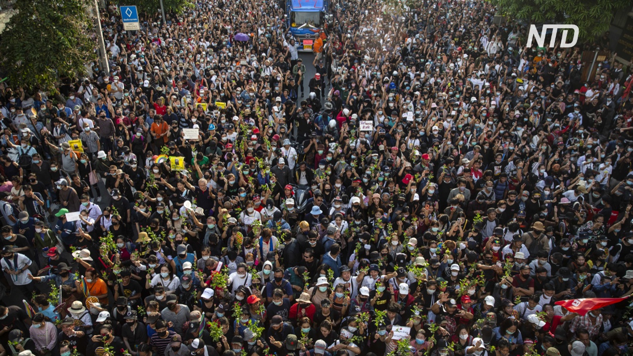 В Бангкоке ввели режим ЧП из-за масштабных антиправительственных протестов