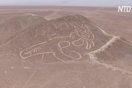 На склоне холма в Перу нашли гигантский рисунок кошки возрастом более 2000 лет