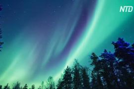 Красивое северное сияние сняли на видео в финской Лапландии