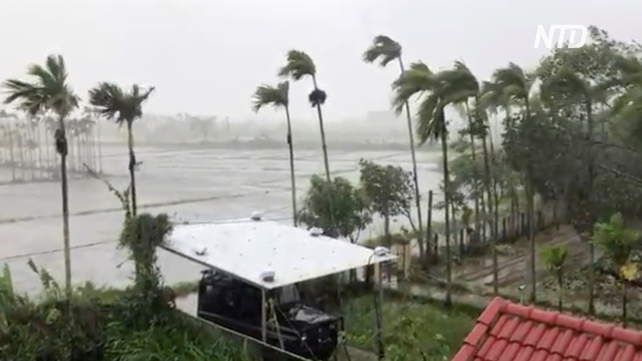 Тайфун «Молаве» ударил по Вьетнаму