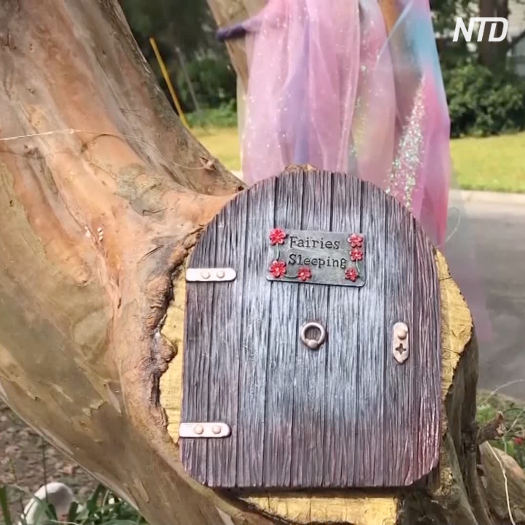 Почта фей под деревом: как дети развлекаются во время карантина