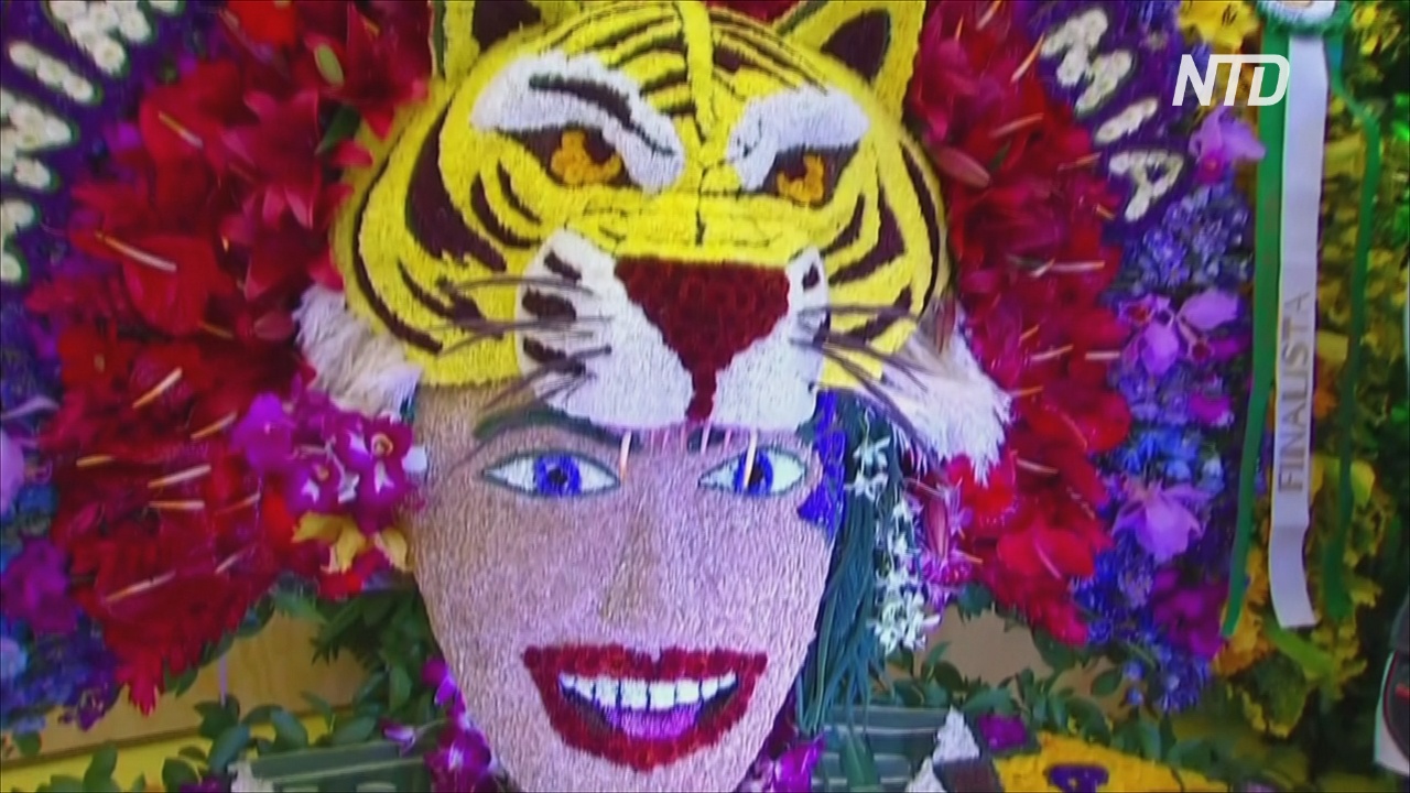 Цветочный фестиваль в Колумбии: легендарное шествие прошло несмотря на пандемию