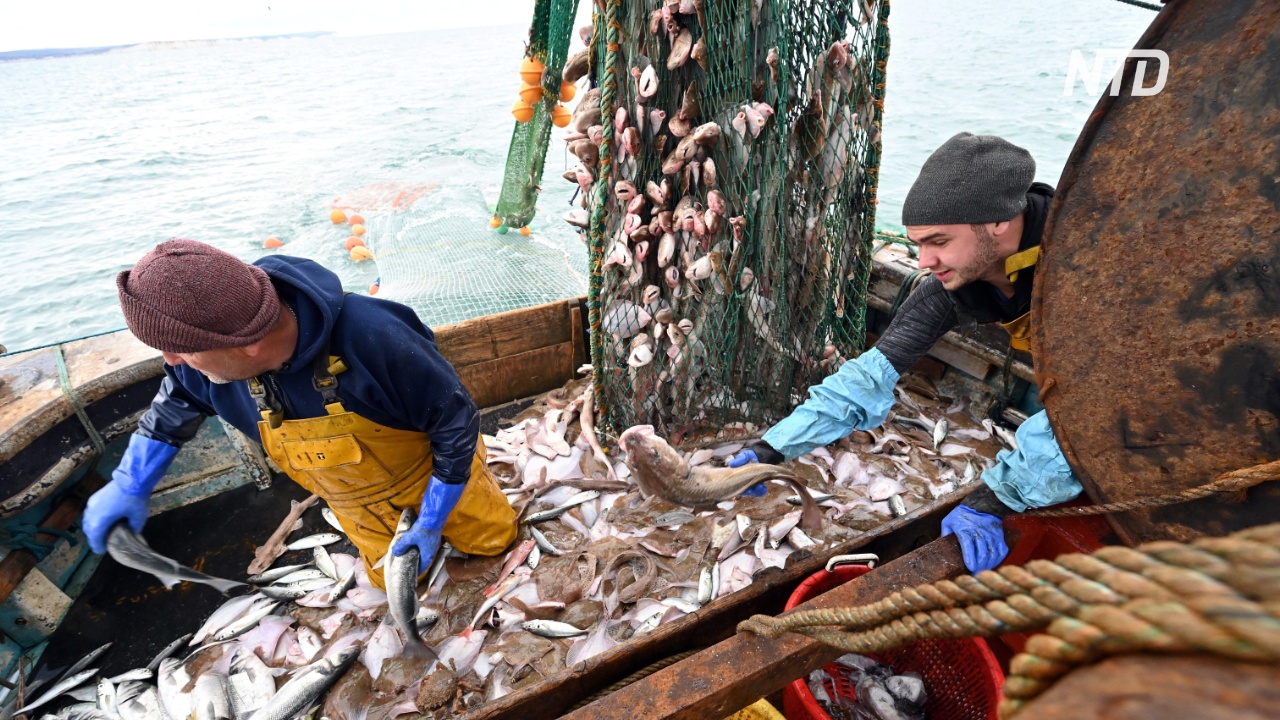 Квоты на вылов рыбы – один из камней преткновения в торговых отношениях после «брексита»