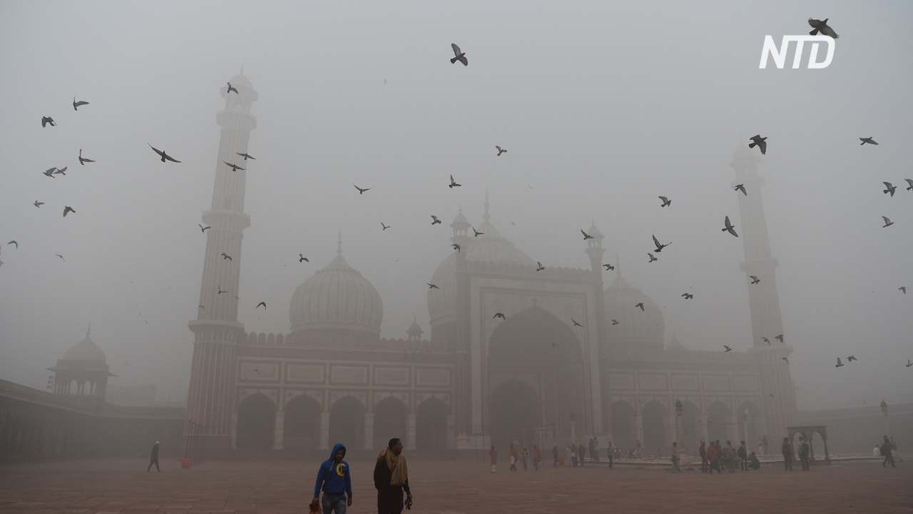 В Нью-Дели почти ничего не видно из-за смога