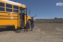 Школьные автобусы развозят задания для детей американских индейцев