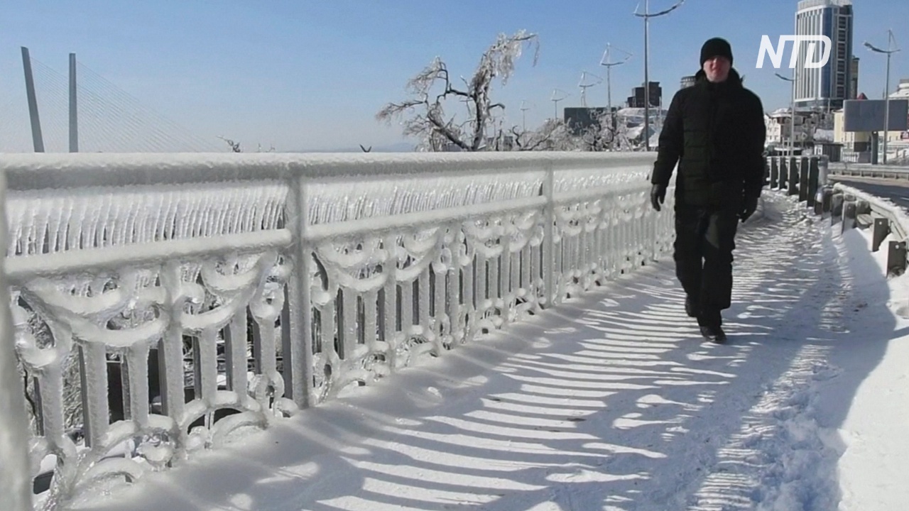 Владивосток после ледяного дождя: ряд районов остаётся без света