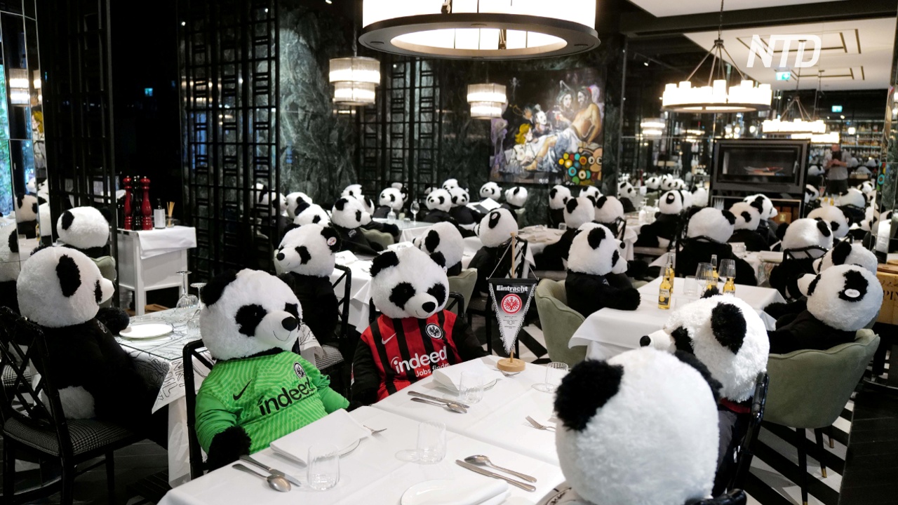 Отпечаток пандемии: в немецком ресторане все столики заняли плюшевые панды