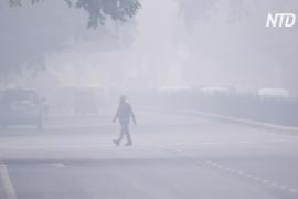 Чиновники и экологи спорят о причинах смога в Нью-Дели