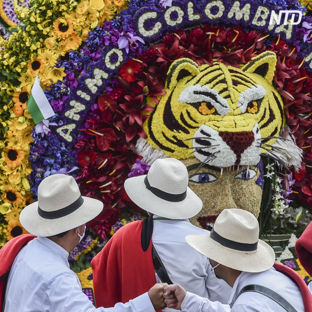 Огромные картины из тысяч цветов носили по улицам Медельина