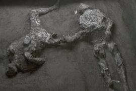 Хорошо сохранившиеся тела жертв Везувия отрыли на вилле в Помпеях
