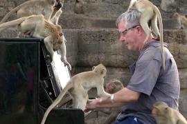Как британский пианист играл для голодных обезьян в Таиланде