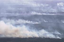 Половина австралийского острова Фрейзер охвачена дымом из-за лесных пожаров