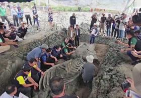 Тайские археологи нашли скелет кита возрастом 5000 лет