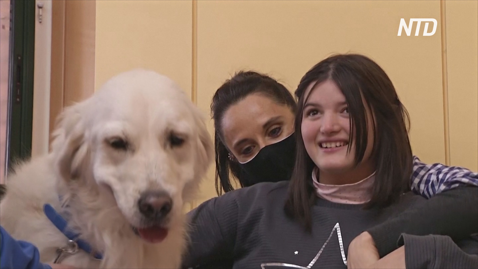 В Испании собаки-терапевты заступили на службу в школы