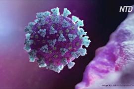 Что мы знаем о новом, более заразном штамме коронавируса SARS-CoV-2