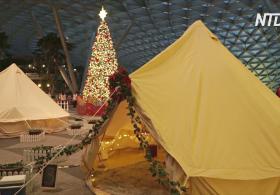 Вместо авиарейса – палатка: в аэропорту Сингапура оборудовали гламурный кемпинг