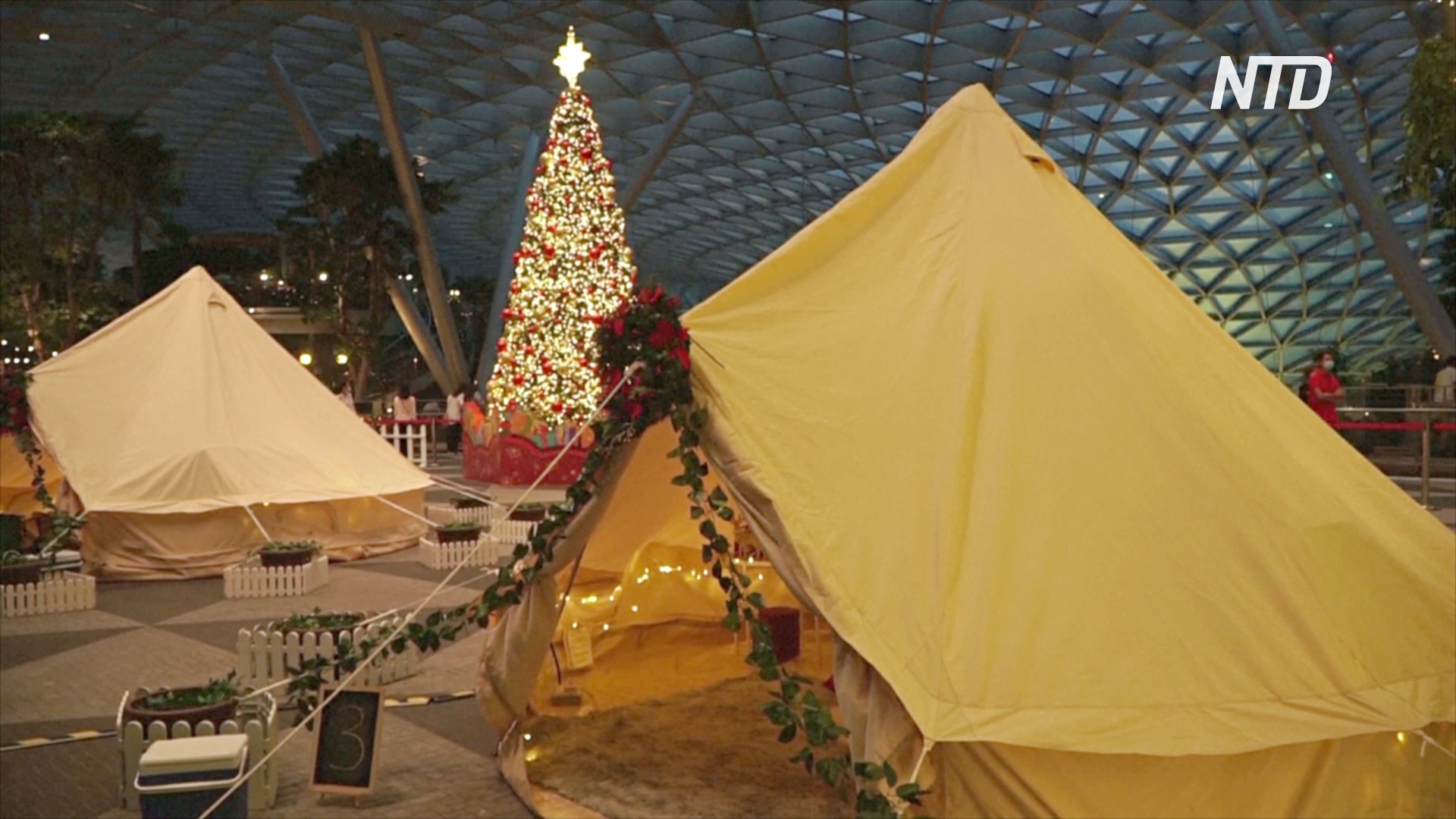 Вместо авиарейса – палатка: в аэропорту Сингапура оборудовали гламурный кемпинг
