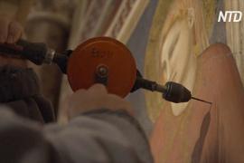 Итальянские реставраторы спасают средневековые фрески Джотто