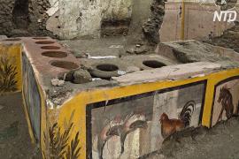 Утки, петух и собака: в Помпеях нашли древний уличный ресторан с фресками