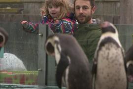 Лондонский зоопарк снова работает после карантина