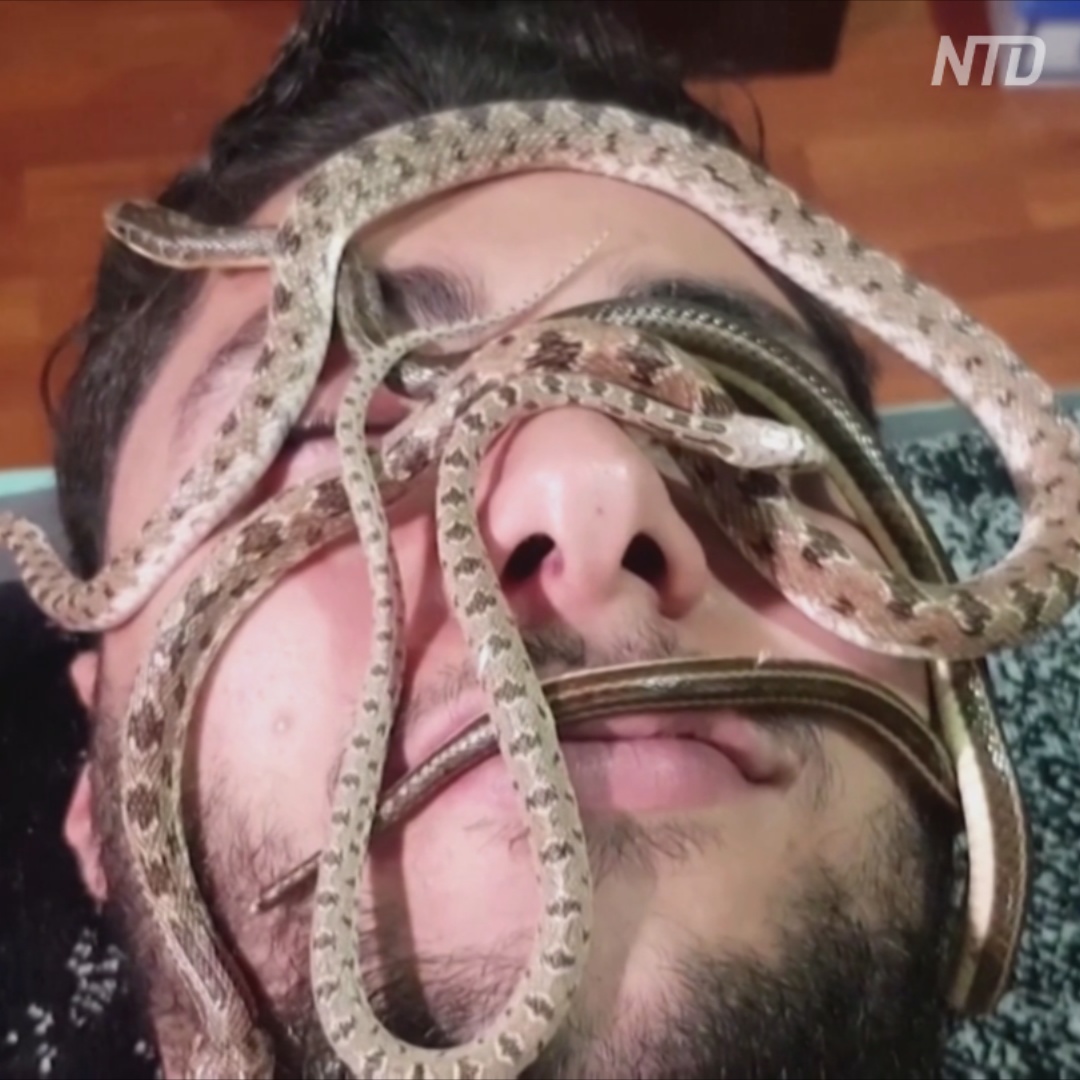 В египетском спа-салоне делают массаж змеями