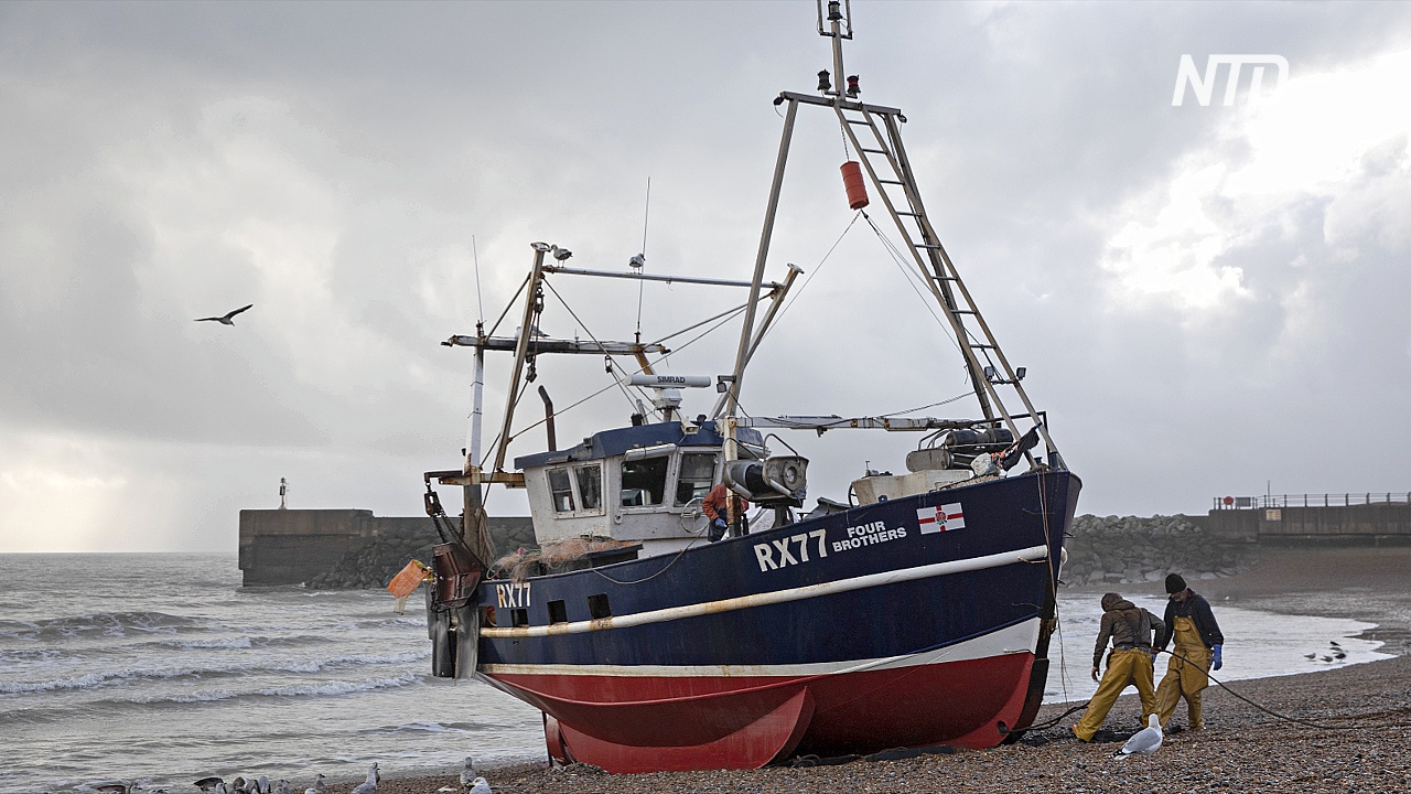 Шотландские рыбаки приостановили экспорт в ЕС из-за новых правил после «брексита»