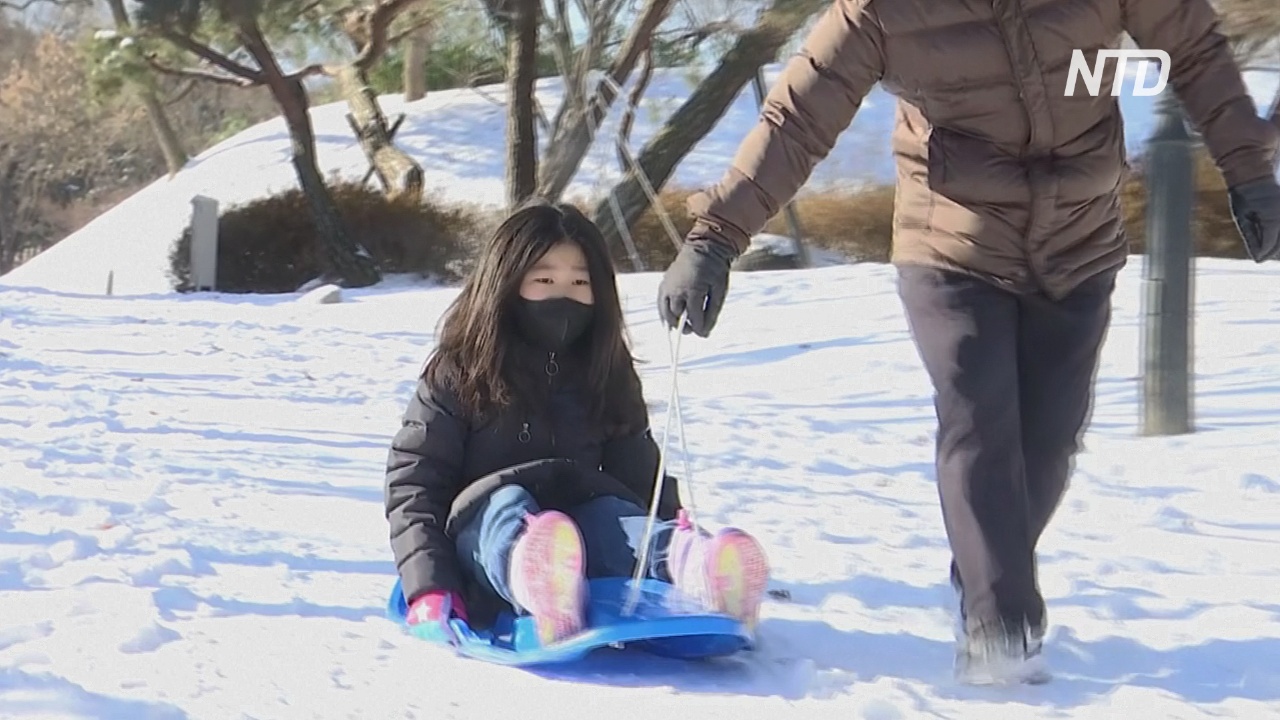 Южнокорейцы раскупили все санки из-за снегопада и закрытых зимних курортов
