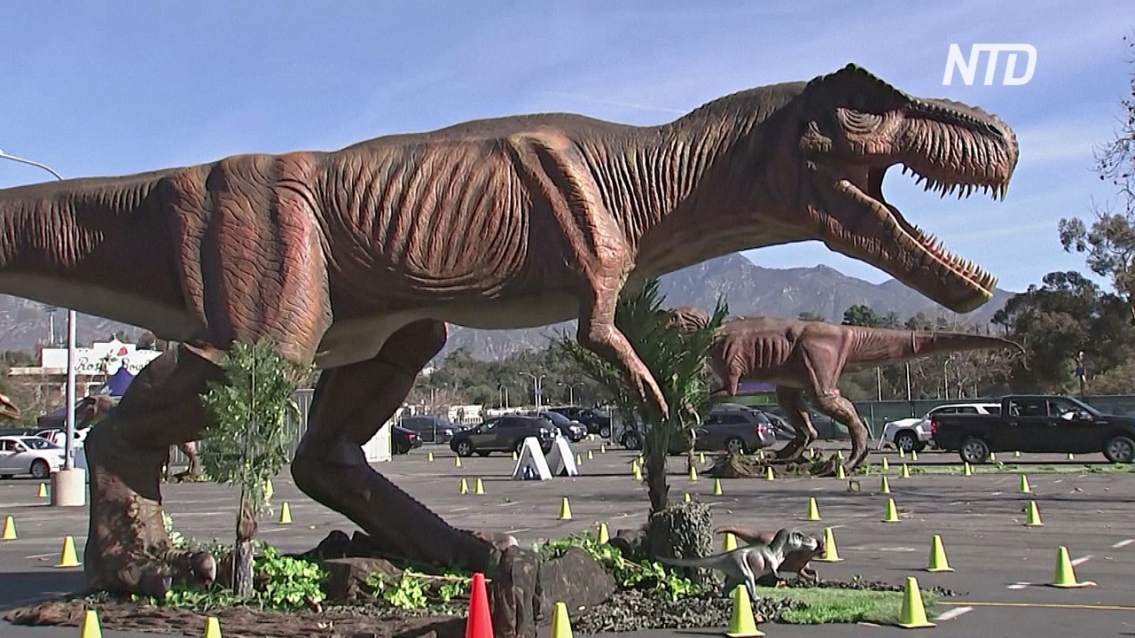 Выставка аниматронных динозавров в США: въезд только на авто