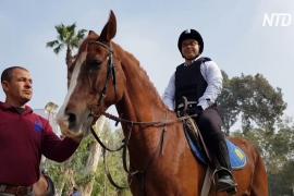 В Египте лошади помогают детям-инвалидам почувствовать себя лучше