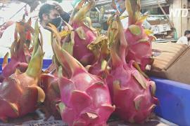 Индийский штат переименовал драгонфрут, чтобы название не было китайским