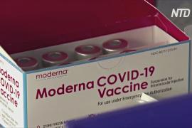 Moderna говорит об эффективности её вакцины от нового штамма COVID-19