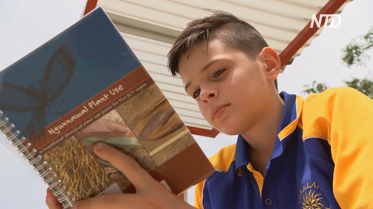 В Австралии мальчик посадил сад и получил премию за человечность