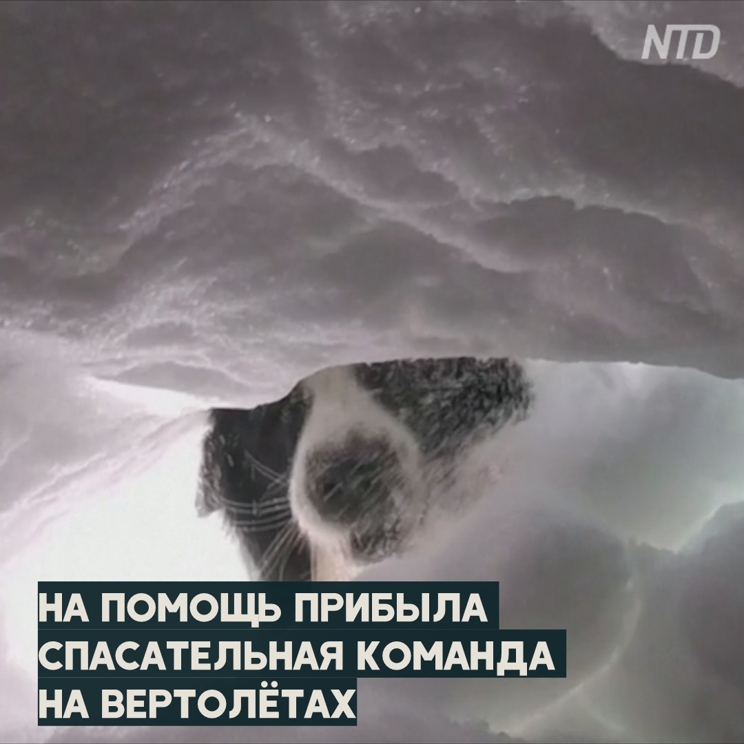 50 минут под лавиной: итальянец вспоминает своё спасение