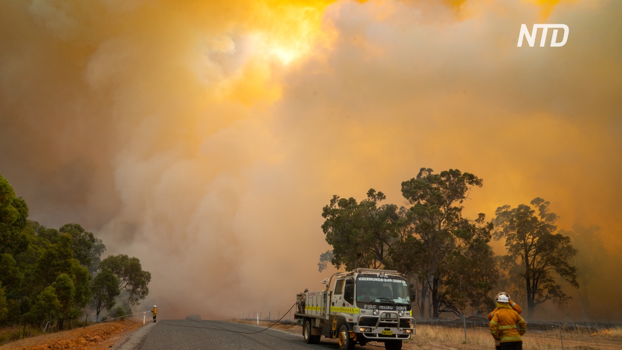 Лесной пожар в Западной Австралии: сгорело более 70 домов