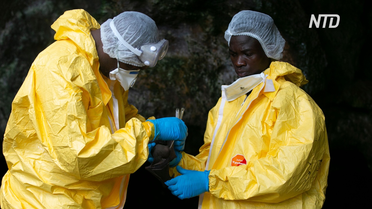 В ДР Конго зарегистрировали новый случай Эболы