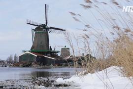 Снег, солнце и мельницы: нидерландцы радуются погоде и выходят гулять
