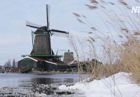 Снег, солнце и мельницы: нидерландцы радуются погоде и выходят гулять
