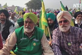 Около 130 тысяч фермеров вышли на протест против аграрной реформы