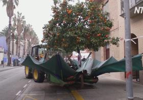 Видео с трактором, трясущим апельсиновые деревья, стало популярным в Интернете