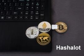 Майнинг с Hashalot