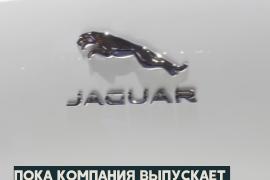 Jaguar хочет выпускать только электрокары