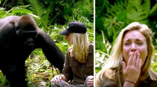 Зачем мужчина приехал на встречу с гориллами в джунгли с женой
