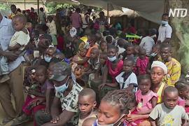Беженцы из ЦАР живут под открытым небом в ДР Конго