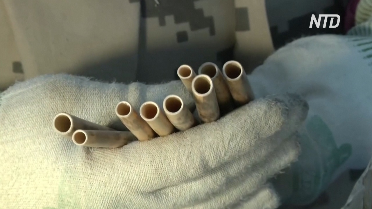 В Эстонии наращивают производство соломинок из тростника
